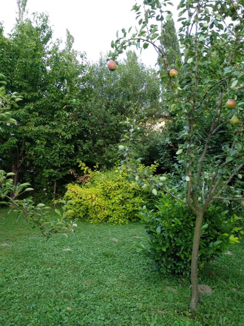 Villa Benaja Swiss Nyaralohaz à Keszthely Extérieur photo